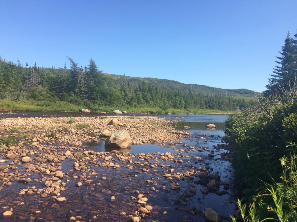 NL salmon river