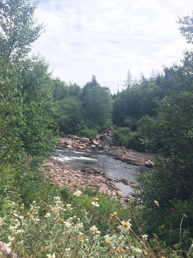 NLsalmon river2